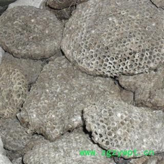 蜂房  山蜂房  统 产地 四川省图2