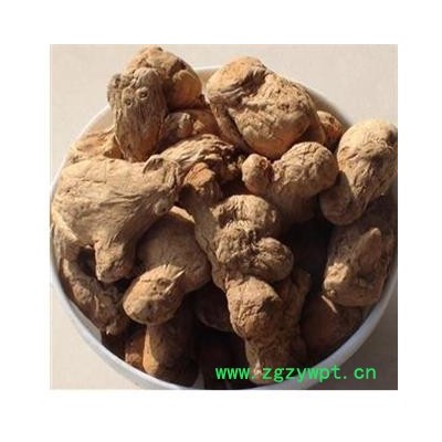 炮姜 统 产地 云南省曲靖市师宗县