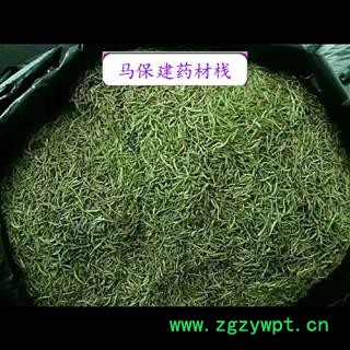 金银花 金银花青花选货 产地 山东省图2