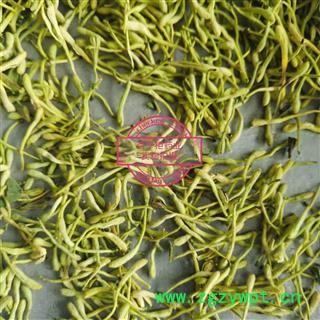 金银花 金银花青花精选货 产地 河南省