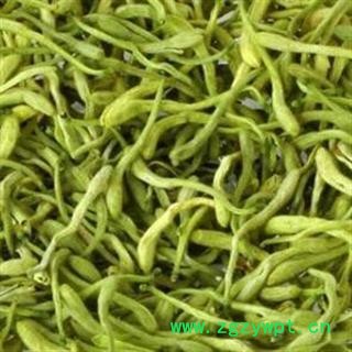 金银花 好统 产地 河南省鹤壁市浚县图2