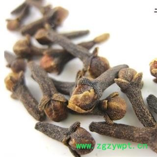 公丁香 1000克图2