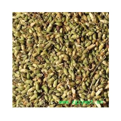 槐米 统 产地 山东省菏泽市鄄城县舜王城药市