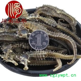 清水海马每条平均1.5克左右选货散装50克起批产地直供川蜀山农中药材批发图3
