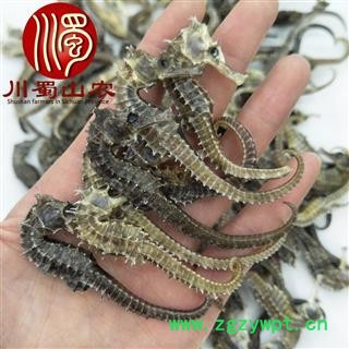 清水海马每条平均1.5克左右选货散装50克起批产地直供川蜀山农中药材批发图2
