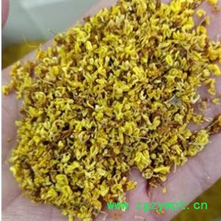 桂花 选货 产地 安徽省图2