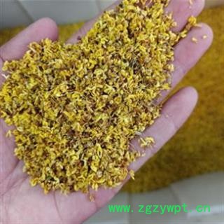 桂花 选货 产地 安徽省图3