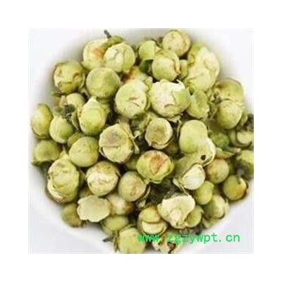 山茶花 大货批发价 统货 产地 福建省莆田市荔城区