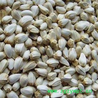 红花  红花籽 统货 产地 新疆维吾尔自治区图2