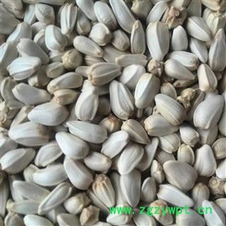 红花  红花籽 统货 产地 新疆维吾尔自治区图3