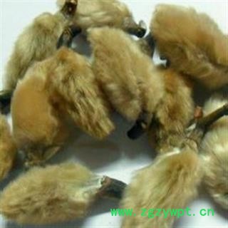 辛夷花 辛夷大桃统货 新货 无杂质 产地 河南省图3