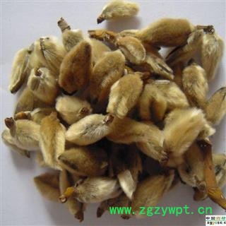 辛夷花 辛夷大桃统货 新货 无杂质 产地 河南省图4