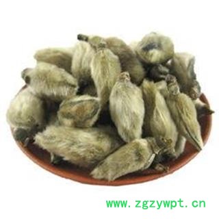 辛夷花 辛夷大桃统货 新货 无杂质 产地 河南省图2