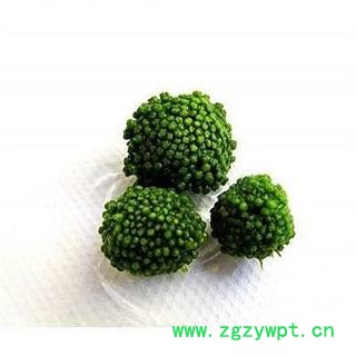 文山三七花 1000克图2