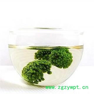 文山三七花 1000克图3