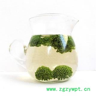 文山三七花 1000克图4