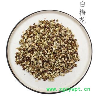 绿萼梅 统 产地 西藏自治区