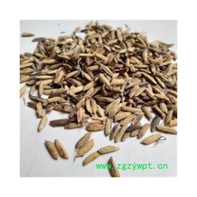 稻芽 稻芽统货 产地 安徽省