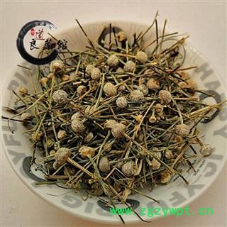 谷精草选货挖耳朵草、珍珠草 药典标准 地道良药馆1000克直销图3