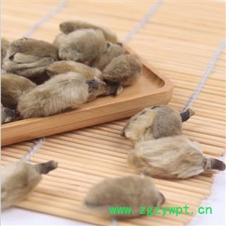 辛夷花 辛夷大桃统货 产地 河南省   批发零售 花茶 中药材 代加工超细粉   别称-林兰 桂兰 杜兰 木莲 木笔 黄心 紫玉兰 女郎花图2