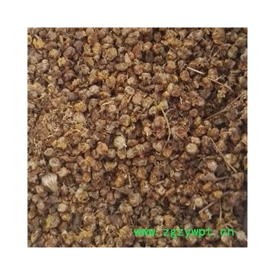 野菊花 野菊花统货 产地 山东省菏泽市鄄城县舜王城药市