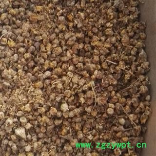 野菊花 野菊花统货 产地 山东省菏泽市鄄城县舜王城药市图2