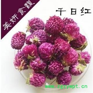 千日红 1000克图2