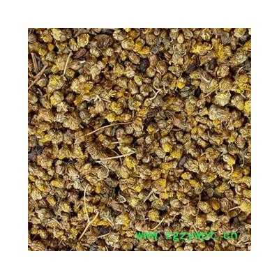 野菊花 统 产地 湖南省