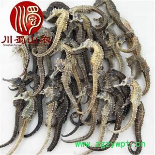 清水海马每条平均2.5克左右选货散装50克起批产地直供川蜀山农中药材批发图4