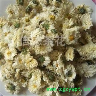 贡菊花 太阳菊朵白无杂 产地 安徽省黄山市图2