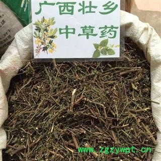 广西壮乡中草药 野生 路边菊 野菊花杆 产地 广西柳州
