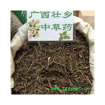 广西壮乡中草药 野生 路边菊 野菊花杆 产地 广西柳州