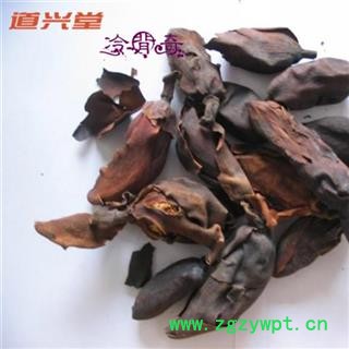 厚朴花 厚朴花统货 产地 四川省 批发各种冷背中草药个子图3