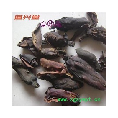 厚朴花 厚朴花统货 产地 四川省 批发各种冷背中草药个子