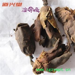 厚朴花 厚朴花统货 产地 四川省 批发各种冷背中草药个子图2