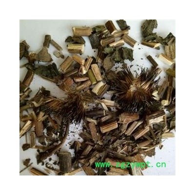 九盛堂中药材 紫锥菊 松果菊 紫锥花