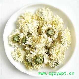 贡菊花天然源产地 安徽黄山贡菊黄金菊菊花茶 七月贡菊散装图4