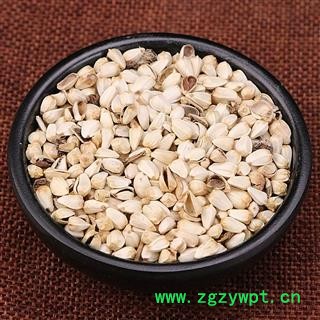 中药材中草药 红花籽 红花子图2