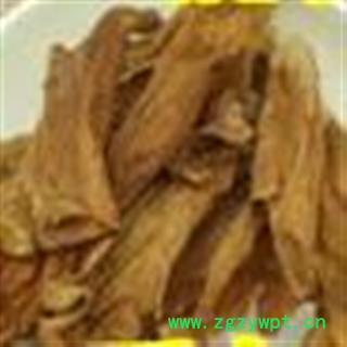 圣草康园梧桐花 梧桐树花 泡桐花图2