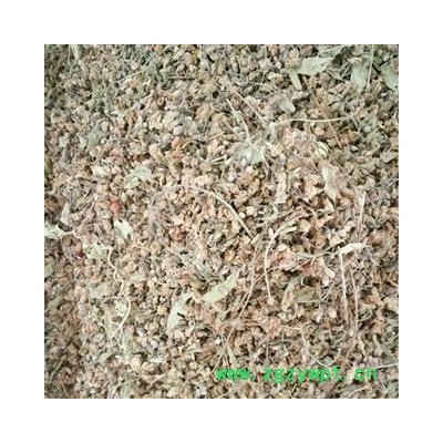 圣草康园罗布麻花 罗布麻 罗布麻花茶  产地 新疆维吾尔自治区