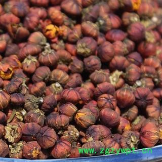 圣草康园雪菊 雪菊茄  （未开雪菊）原色无硫图2