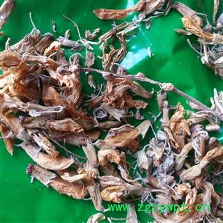 圣草康园芫花 药鱼草 老鼠花 闹鱼花 头痛花 闷头花 石棉皮 泡米花 泥秋树 黄大戟 蜀桑