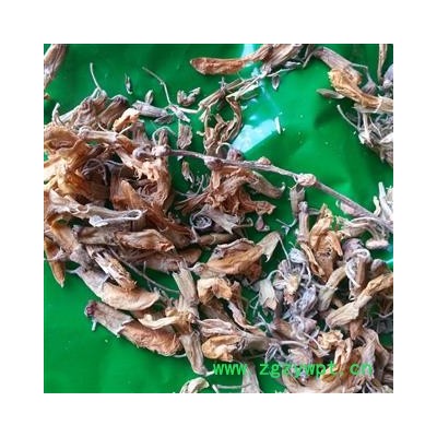 圣草康园芫花 药鱼草 老鼠花 闹鱼花 头痛花 闷头花 石棉皮 泡米花 泥秋树 黄大戟 蜀桑