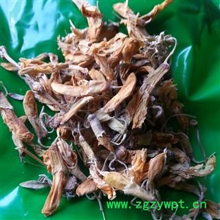 圣草康园芫花 药鱼草 老鼠花 闹鱼花 头痛花 闷头花 石棉皮 泡米花 泥秋树 黄大戟 蜀桑图2