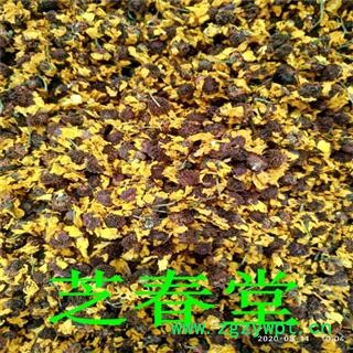 芝春堂批发新货雪菊 昆仑雪菊 新疆特产雪菊茶散装花草茶量大从优图3