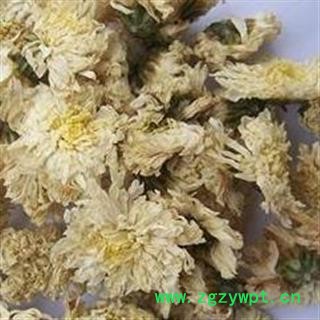 吉康药业 七月菊 七月花 新货图2