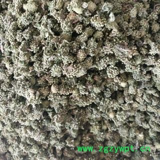 三七花 两年生三七花小统货 产地 云南省图2