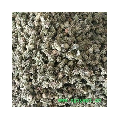 三七花 两年生三七花小统货 产地 云南省