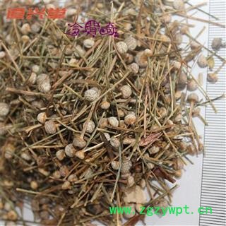谷精草 谷精草统货 产地 江西省  批发各种冷背中草药个子图2