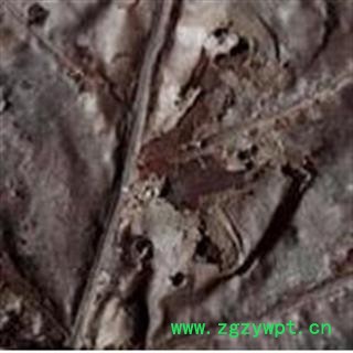 儿茶 进口 产地 海外图3